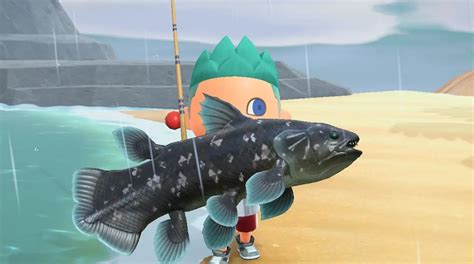How to catch a Coelacanth in Animal Cr.